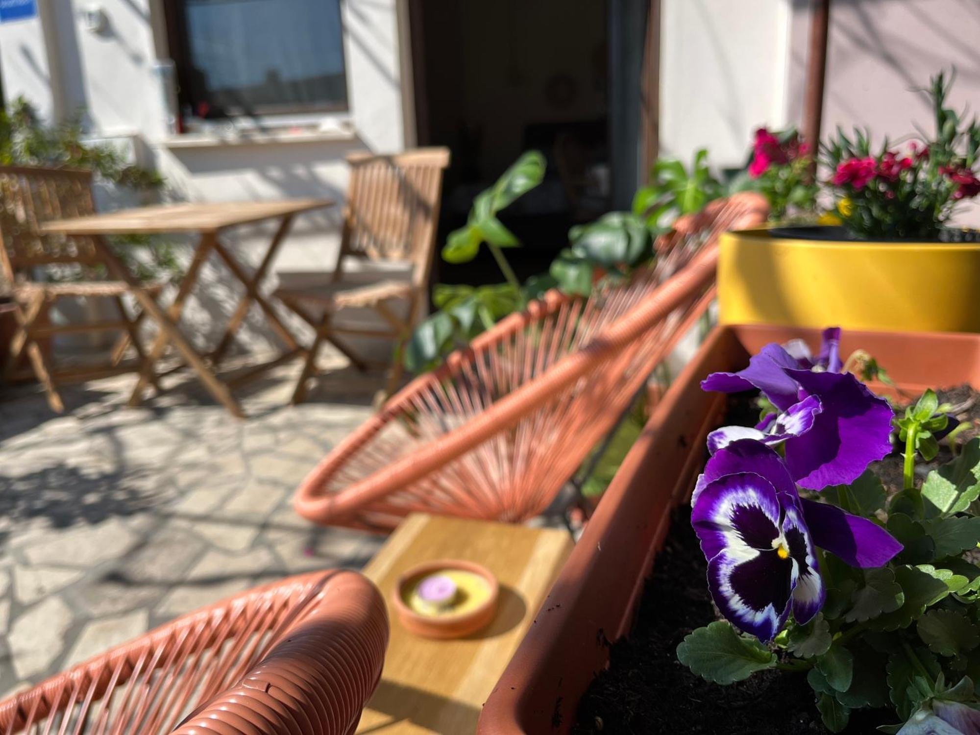 Veronika'S House プーラ エクステリア 写真